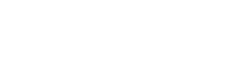 Meta Business Partner